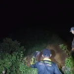 PENANGANAN Personel BPBD Nunukan melakukan asesmen di lokasi kejadian tanah longsor tepatnya di Jalan Binusan RT 14 KM 2 Kecamatan Nunukan