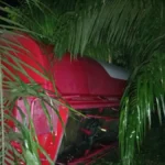 laka-tunggal-sebuah-truk-tangki-pengangkut-bbm-pertamina-mengalami-kecelakaan-tunggal-di-km-28-jalan-poros-bulungan-berau-senin-207-malam-foto-dok-warga-miAKS