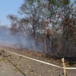 BERI DAMPAK Asap dari karhutla yang terjadi di Kelurahan Pantai Amal