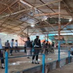 DIBUBARKAN Tim gabungan membubarkan aksi sabung ayam di Simpang Misaya RT 17 Kelurahan Juata Laut Kecamatan Tarakan Utara Minggu