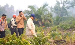 FOTO PRABOWO TERJUN LANGSUNG KE LOKASI KEJADIAN KEABAKRAN DIKALIMANTAN
