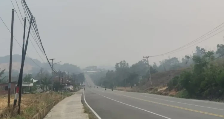 KABUT ASAP Kondisi jalan di Nunukan diselimuti kabut asap sejak Minggu