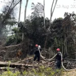 KARHUTLA Hingga saat ini KPH Kota Tarakan mencatat sekitar 44 kejadian karhutla yang telah ditangani