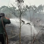 KARHUTLA Petugas melakukan peamdaman karhutla di wilayah Karhutla