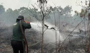 KARHUTLA Petugas melakukan peamdaman karhutla di wilayah Karhutla