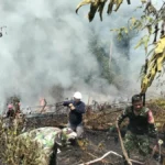 KEBAKARAN LAHAN Petugas gabungan melakukan pemadaman di lokasi kebakaran di Bulungan