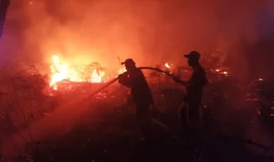 PEMADAMAN Upaya pemadaman di salah satu lokasi Karhutla di Kaltara