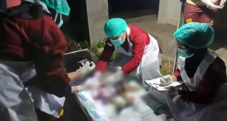 PEMERIKSAAN Tenaga medis RSU Sebatik melakukan visum