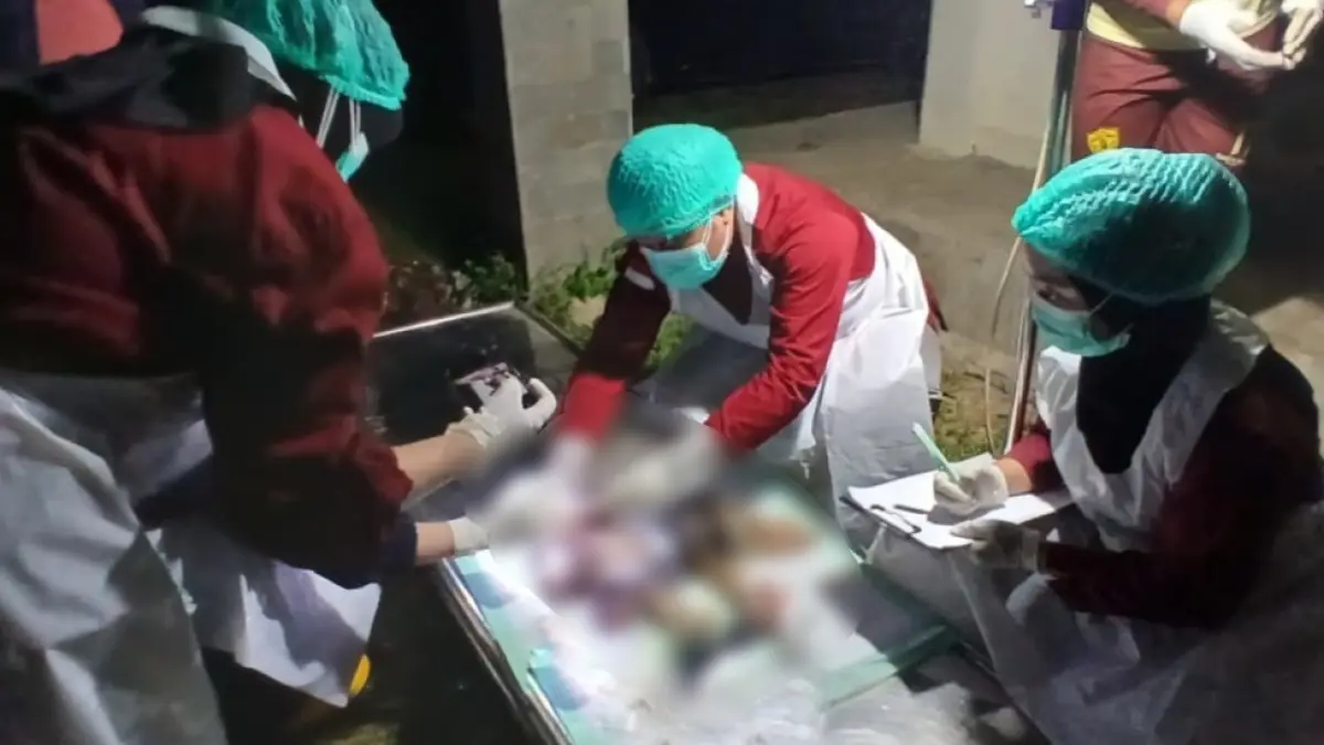 PEMERIKSAAN Tenaga medis RSU Sebatik melakukan visum