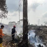 TANGANI Dari puluhan kasus karhutla di Kota Tarakan belum ada pelaku yang diamankan