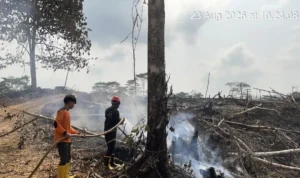 TANGANI Dari puluhan kasus karhutla di Kota Tarakan belum ada pelaku yang diamankan