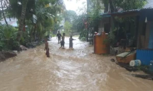 terancam-banjir-yang-terjadi-pada-senin-38-dini-hari-berimbas-pada-pertanian-warga-di-sejumlah-wilayah-di-kecamatan-nunukan-OyVkn