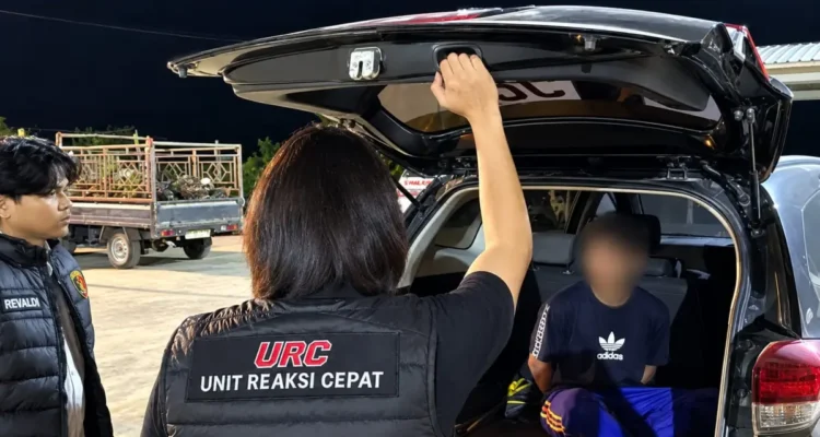 DIAMANKAN AM diamankan Tim URC Unit Resmob Subdit III Jatanras Ditreskrimum Polda Kaltara terkait dugaan pencurian buah kelapa sawit