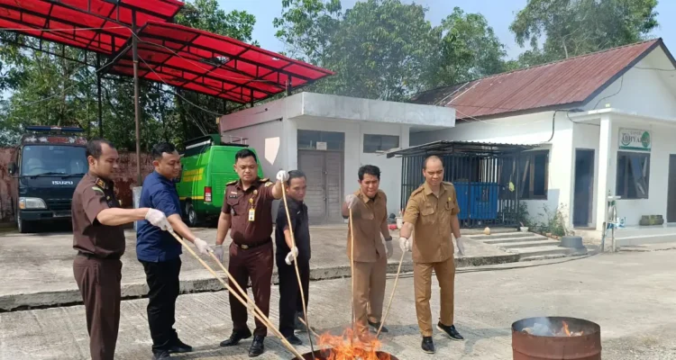 DIBAKAR Kajari Bulungan melakukan pemusnahan BB dengan cara dibakar di halaman Kejari Bulungan