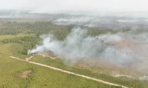 FOTO UDARA Kepulan asap pekat dan lahan yang terbakar di wilayah Bulungan