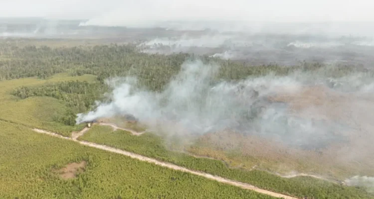 FOTO UDARA Kepulan asap pekat dan lahan yang terbakar di wilayah Bulungan