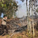 KARHUTLA Polres Tarakan mendalami dugaan karhutla yang dilakukan secara sengaja untuk kepentingan pembersihan lahan di Kota Tarakan