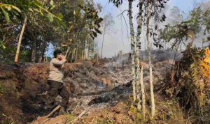 KARHUTLA Polres Tarakan mendalami dugaan karhutla yang dilakukan secara sengaja untuk kepentingan pembersihan lahan di Kota Tarakan