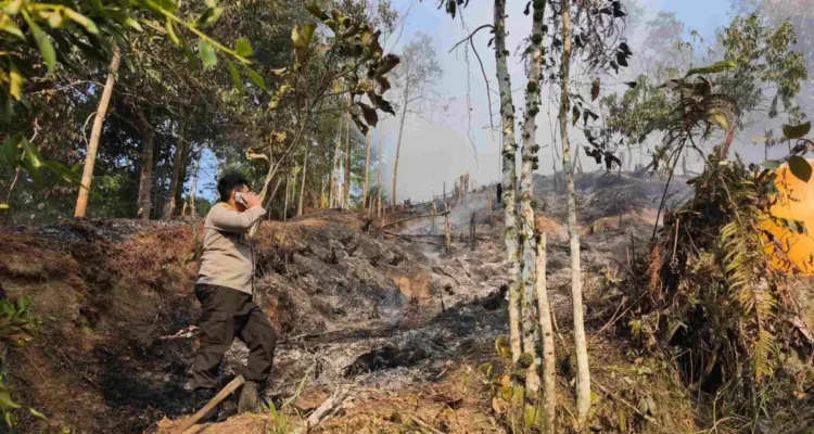 KARHUTLA Polres Tarakan mendalami dugaan karhutla yang dilakukan secara sengaja untuk kepentingan pembersihan lahan di Kota Tarakan
