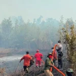 KARHUTLA Proses pemadaman api pada salah satu titik kebakaran di Tanjung Palas Timur Bulungan