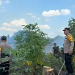 KEBAKARAN LAHAN Kapolsek Sesayap dan jajarannya bersama TNI melakukan pemadaman kebakaran lahan di Bebakung