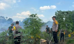 KEBAKARAN LAHAN Kapolsek Sesayap dan jajarannya bersama TNI melakukan pemadaman kebakaran lahan di Bebakung