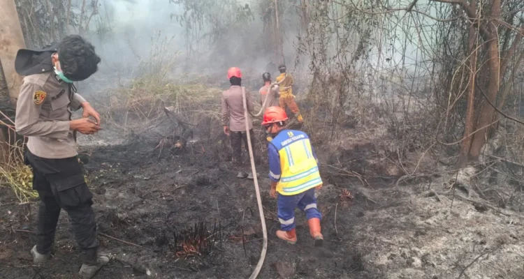 KERAHKAN BWS V Kalimantan Tanjung Selor mengerahkan personel untuk membantu pemadam karhutla