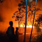 KOBARAN KARHUTLA Petugas berupaya memadamkan kobaran api yang melanda kawasan hutan dan lahan di tengah kondisi malam hari