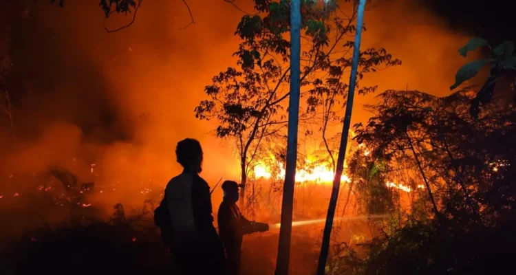 KOBARAN KARHUTLA Petugas berupaya memadamkan kobaran api yang melanda kawasan hutan dan lahan di tengah kondisi malam hari