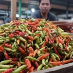 NAIK Harga cabai di Kota Tarakan mengalami kenaikan dari