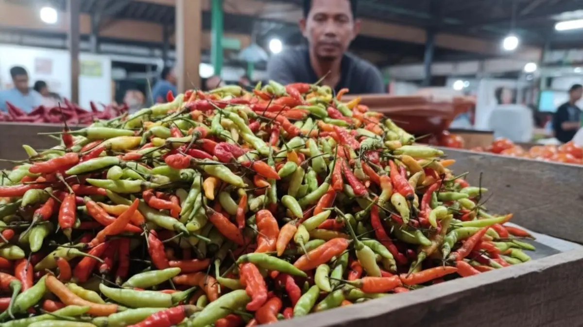 NAIK Harga cabai di Kota Tarakan mengalami kenaikan dari