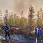 PENANGANAN Petugas saat melakukan proses pemadaman di salah satu titik kebakaran di Tanjung Palas Timur