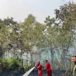 PENDINGINAN Petugas gabungan melakukan pendinginan di area kebakaran lahan di Bulungan