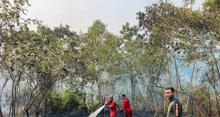 PENDINGINAN Petugas gabungan melakukan pendinginan di area kebakaran lahan di Bulungan